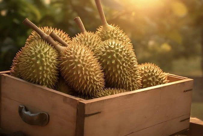 An Interactive Journey into the World of Durian