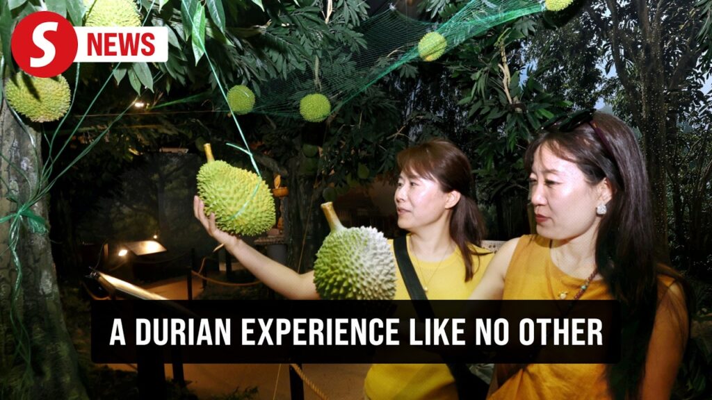 ‘King of Fruits’ takes centre stage at Asia’s first durian experience centre in KL