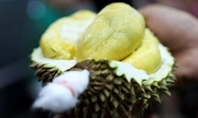 Malaysia's durian glut to keep prices low until August
