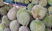 Singapore enjoys $15/kg Musang King amid durian glut in Malaysia